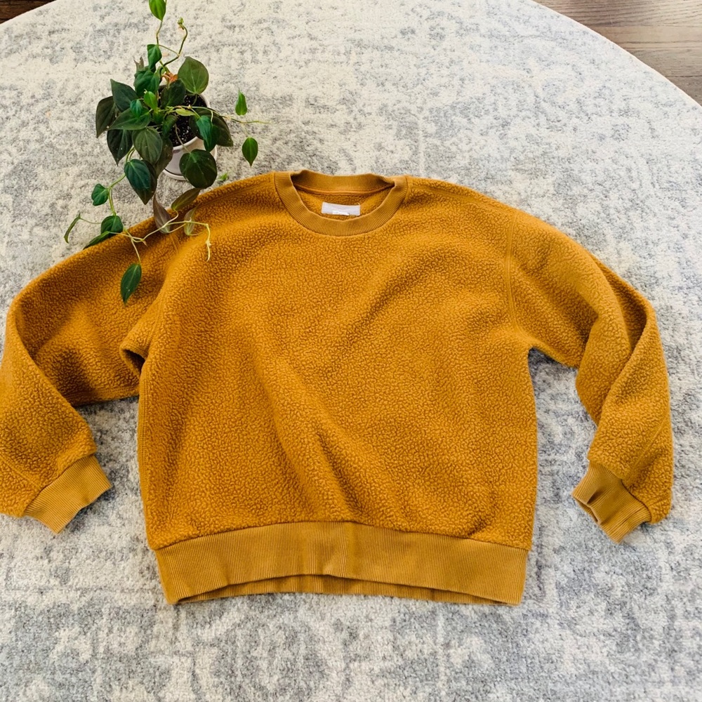 Everlane Teddy Crewneck